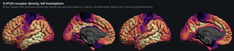 5-HT2A density on the HD cortex.
