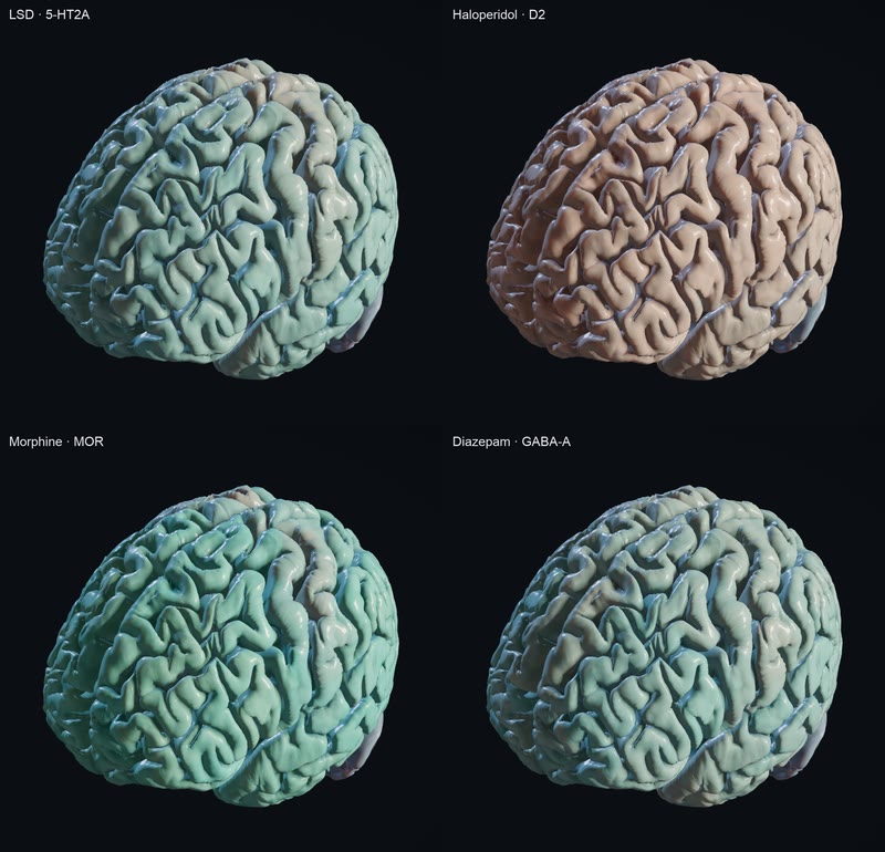 Four drugs on one scale, each where it binds.