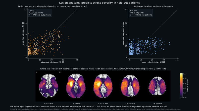 Lesion anatomy predicts stroke severity in held-out patients.