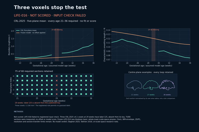 Not scored: three undefined voxels.