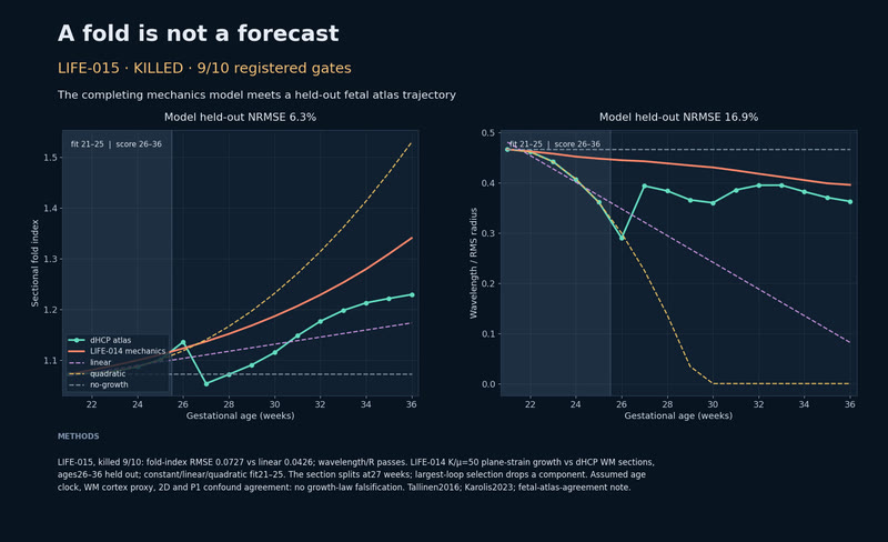 A fold is not a forecast.