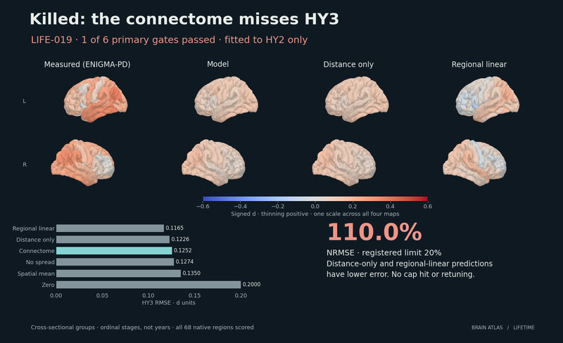 The connectome misses the next stage.