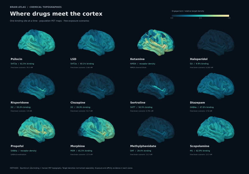Where 12 drugs meet the cortex.