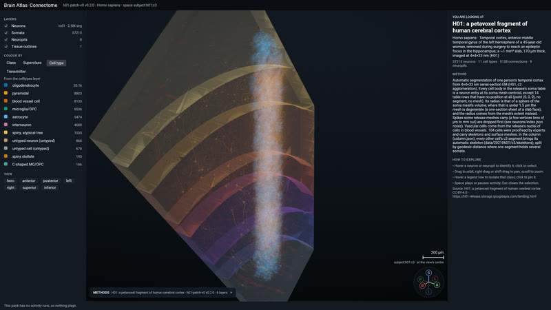 H01's column in the engine.