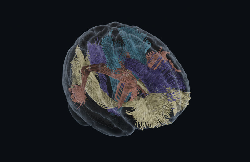 Every bundle in the atlas.