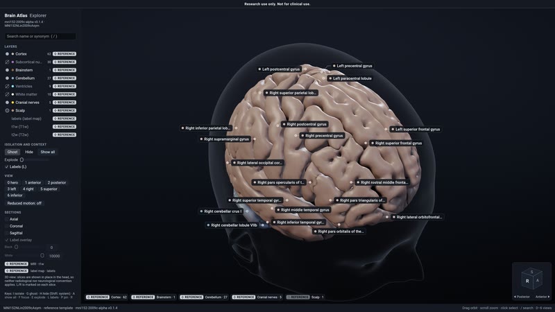 Explore in the native engine.