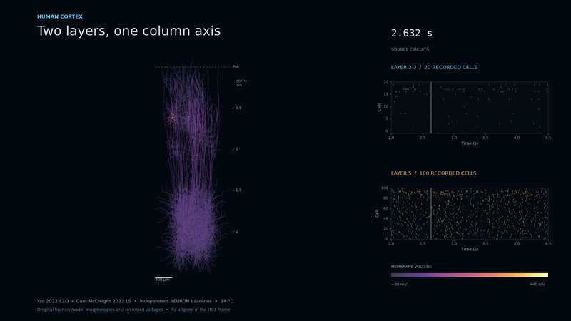 Two layers, one column axis.