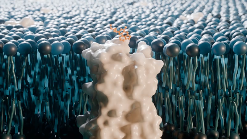 LSD seated in its receptor.