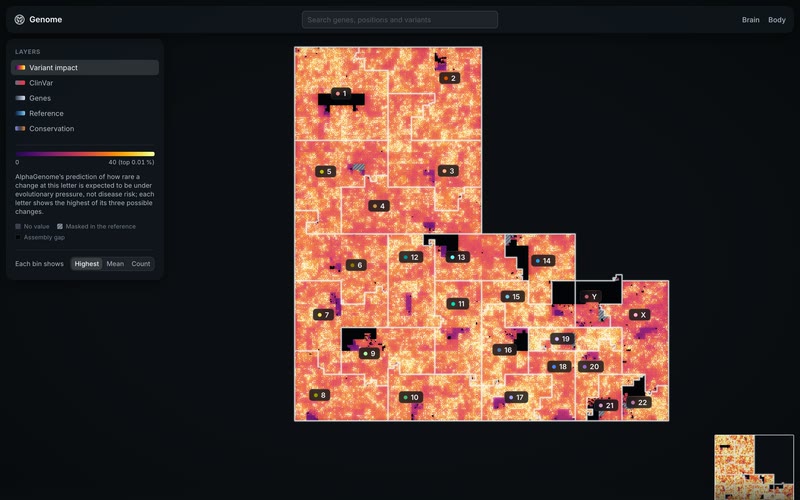 Genome mode's map: the whole human genome folded into one square-filling curve, each chromosome a numbered block coloured by AlphaGenome's predicted variant impact, with the layer panel at left.